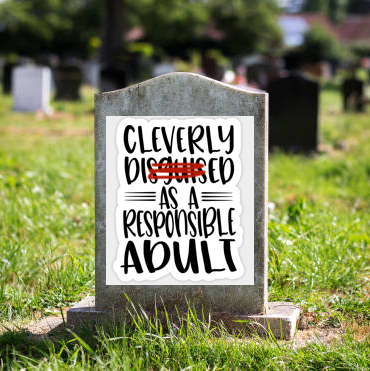 Job Invitations From Adult Industry Are Welcome, but Not in the Way You Are Thinking Of